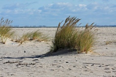 Sylt